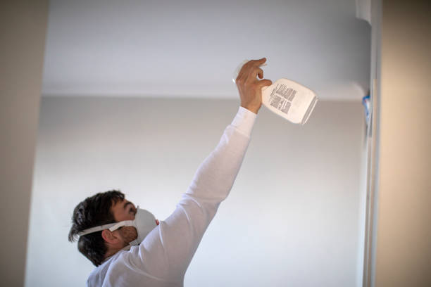 Best Toxic Mold Removal  in South Sumter, SC